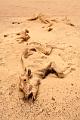 egypte desert libyque 10